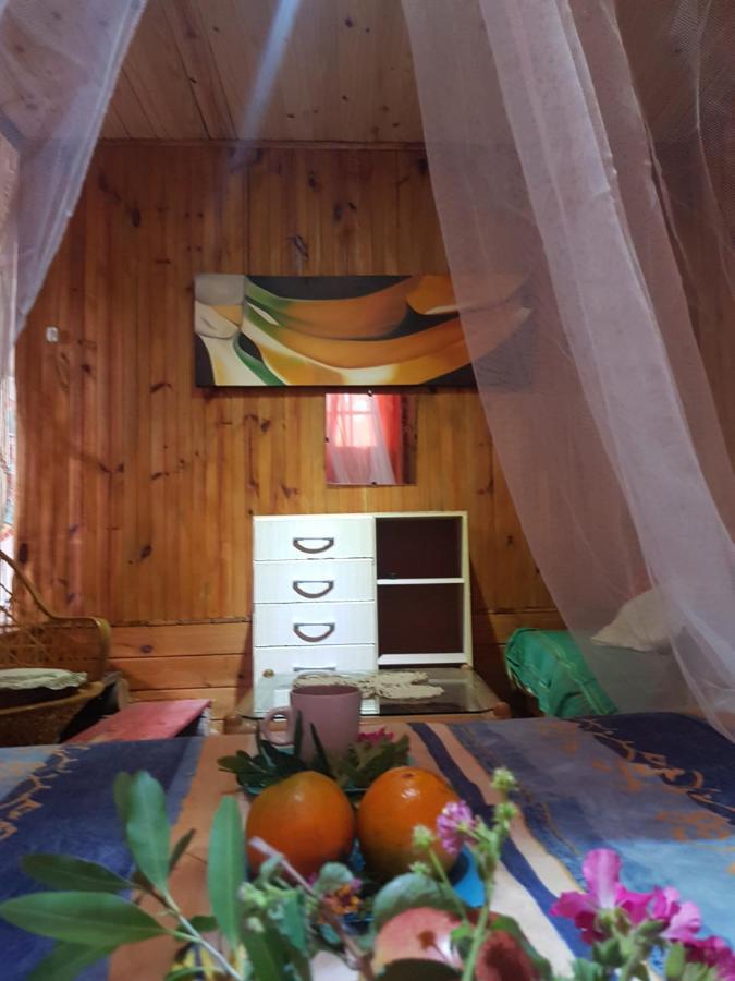 Cabana La Rustika Punta Del Diablo Luaran gambar